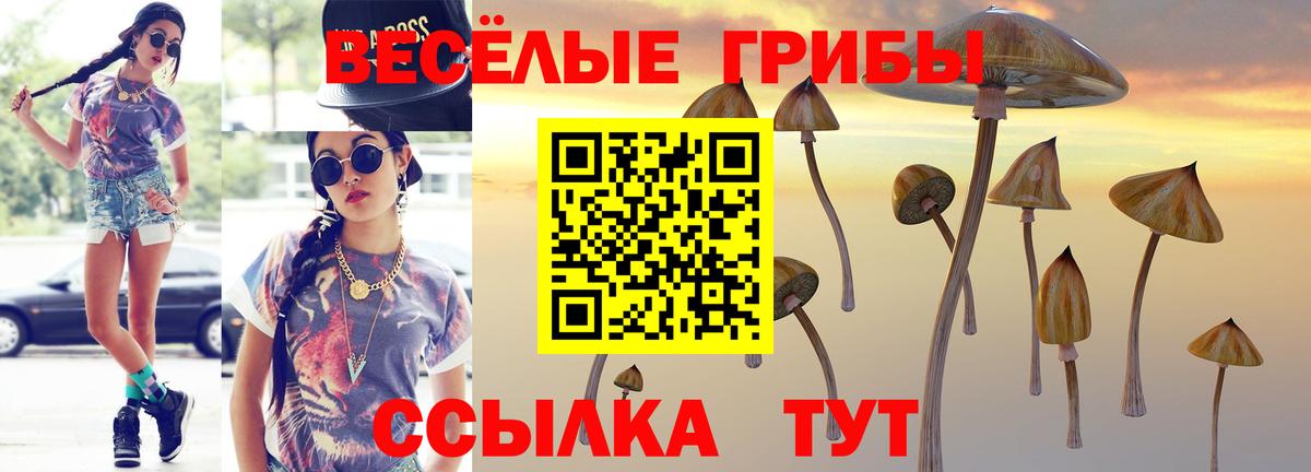 Пыть-Ях  Галлюциногенные грибы Psilocybine cubensis  Вход с VPN 